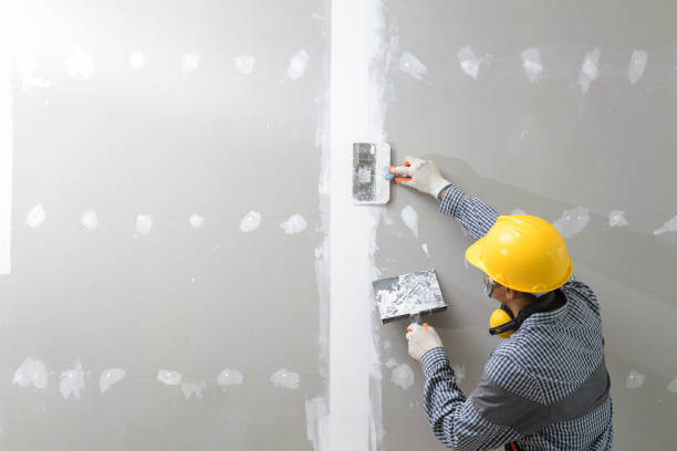 Best Interior Painting  in Des Plaines, IL